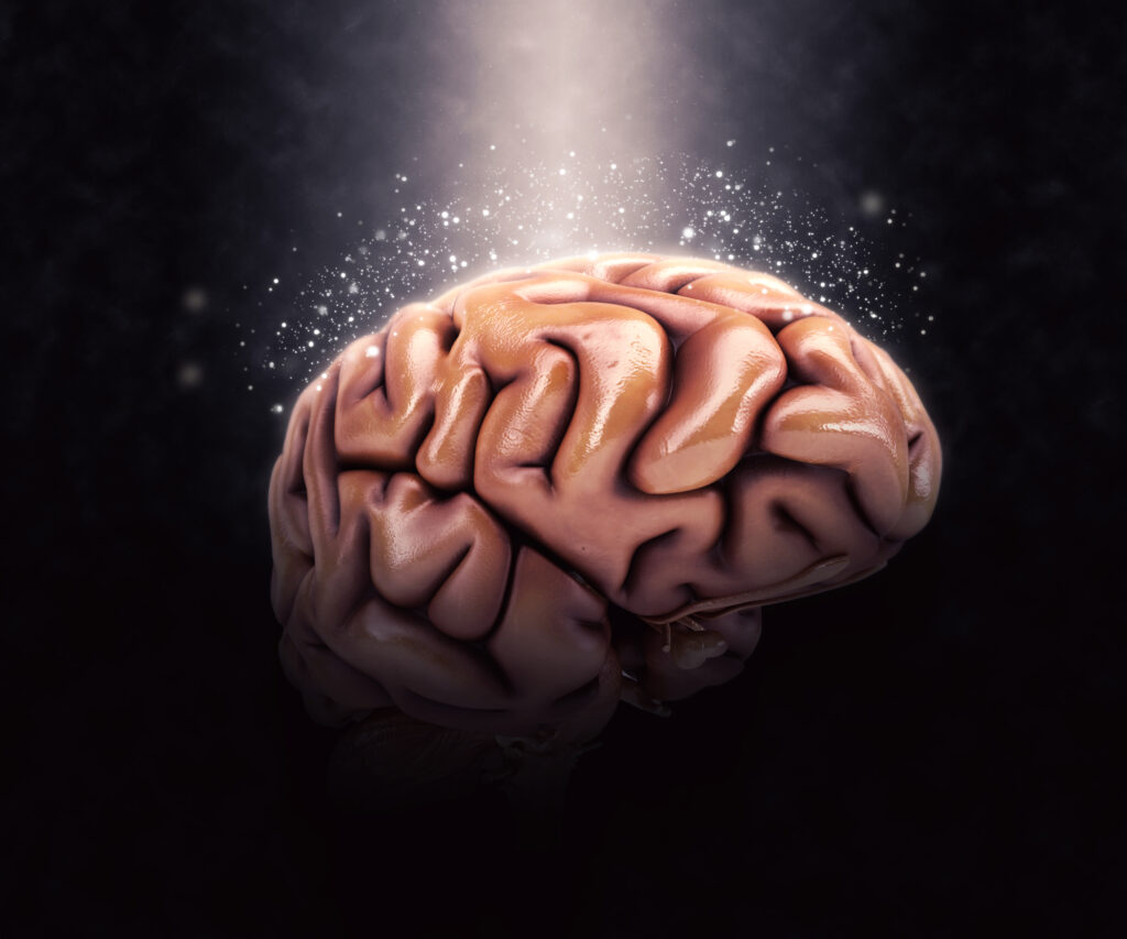 A mente humana e o Neuromarketing
